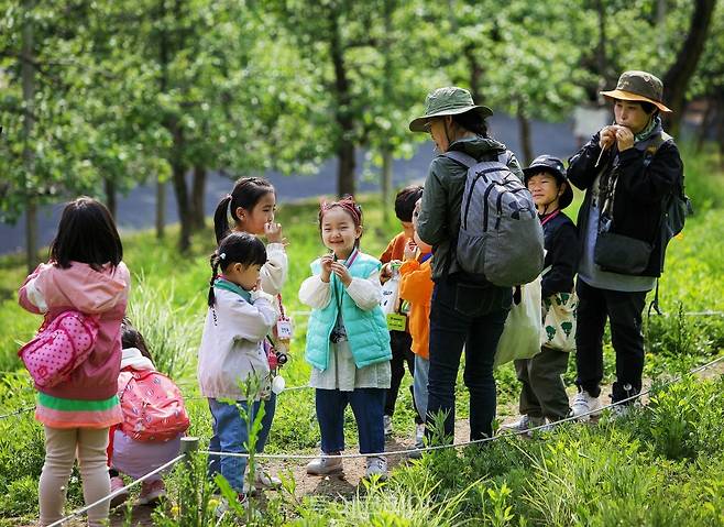 대전 숲체원 어린이 행사