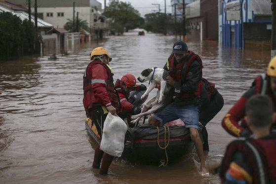 2일(현지시간) 브라질 히우그란지두술 침수지역에서 구조된 남성과 개. AFP=연합뉴스