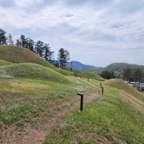 성산동 고분군은 고분이 주는 신비로움과 웅장한 모습을 느낄 수 있다. 크고 작은 야생화들이 즐비해 있는 산책길을 걸으며 둘러보기 좋다.