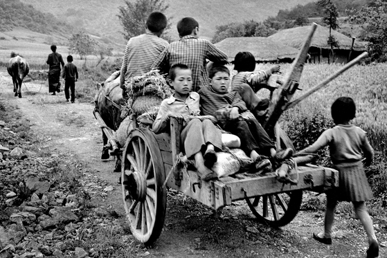 소달구지, 전북 고창, 1973년 ⓒ김녕만
