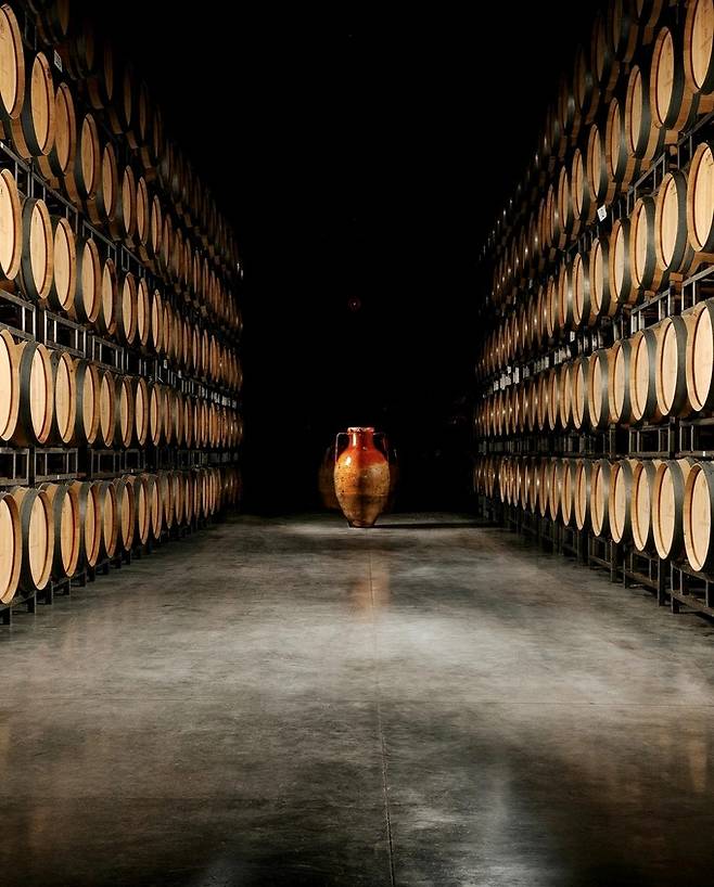 산 마르짜노 셀러. 인스타그램