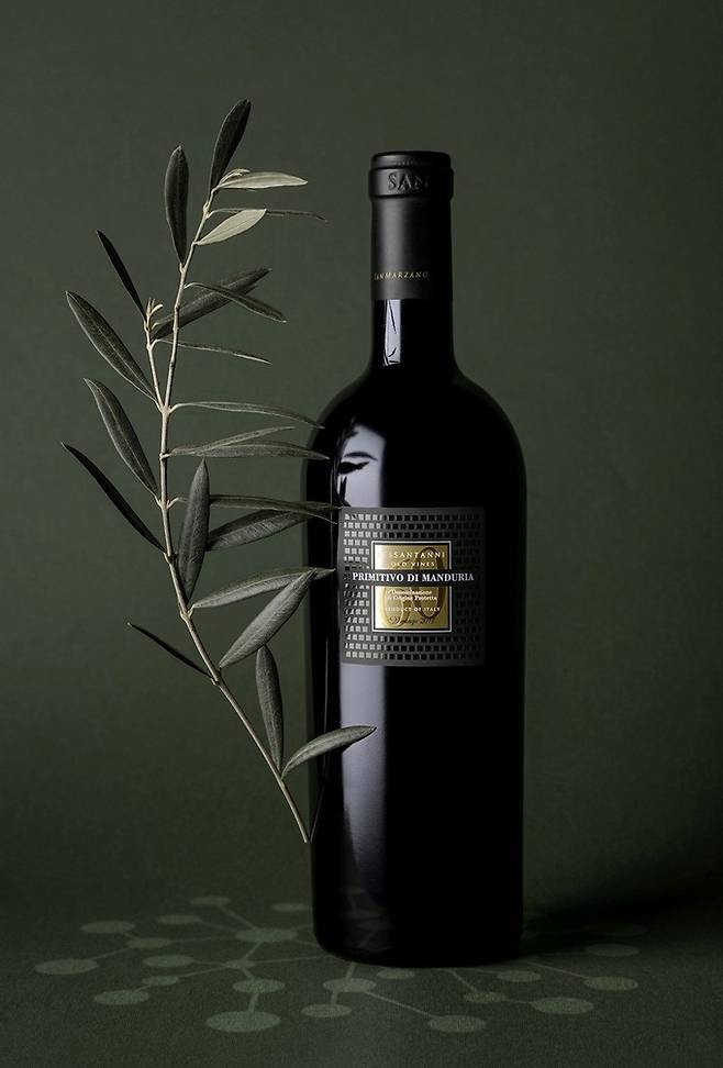 세산타니.&nbsp;인스타그램