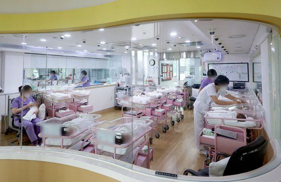 서울의 한 산후조리원 신생아실에서 간호사 등 관계자들이 신생아들을 돌보고 있다. [사진=연합뉴스]
