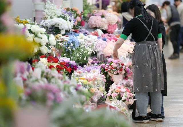 어버이날을 하루 앞둔 7일 서울 서초구 양재동꽃시장에서 카네이션이 판매되고 있다. 뉴시스