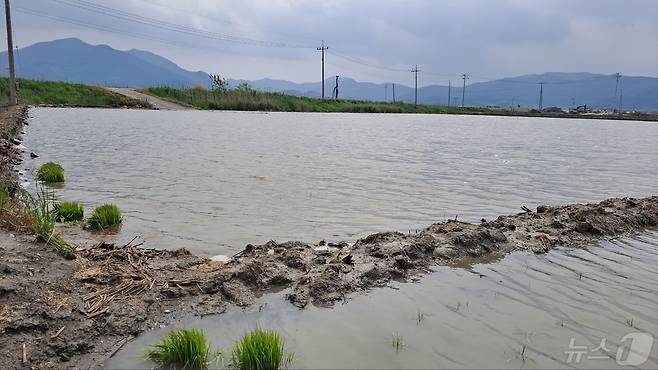 어린이날 연휴에 쏟아진 폭우로 6일 오전 전남 고흥군 포두면 일대 농경지가 물에 잠겨 있다.(고흥군 제공)2024.5.7/뉴스1 ⓒ News1 김동수 기자