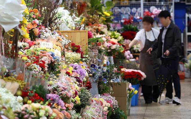 어버이날을 이틀 앞둔 지난 6일 서울 서초구 양재꽃시장에서 시민들이 카네이션을 고르고 있다. 연합뉴스