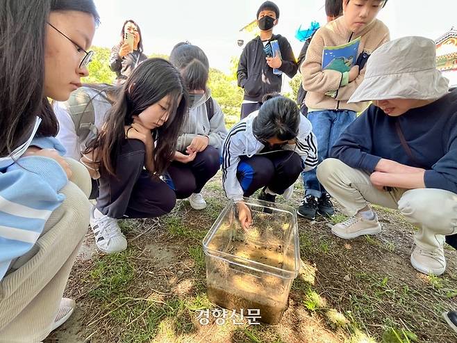 대구 수성구 욱수동 망월지에서 지난 3일 지역 한 중학교 생태동아리 소속 학생들이 두꺼비 올챙이를 관찰하고 있다. 백경열 기자