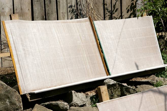 Pieces of "hanji," or traditional Korean mulberry paper, are spread out under the sun. (The Cultural Heritage Administration)