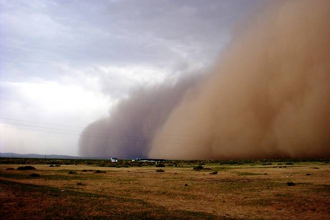 몽골 바양노르 지역에 몰아닥친 모래폭풍의 모습. 사람과 가축이 큰 피해를 입는다. ⓒ푸른아시아 제공