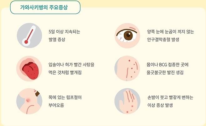 가와사키병의 주요 증상. 인천성모병원 제공