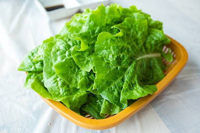 상추는 우리가 몰랐던 여러 효능을 갖고 있다. [사진=클립아트코리아]