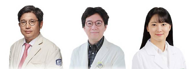 왼쪽부터 김대진 교수, 안국진 교수, 정조은 교수