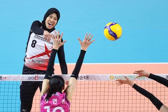 2년 연속 정관장에서 뛰는 메가. 뉴스1