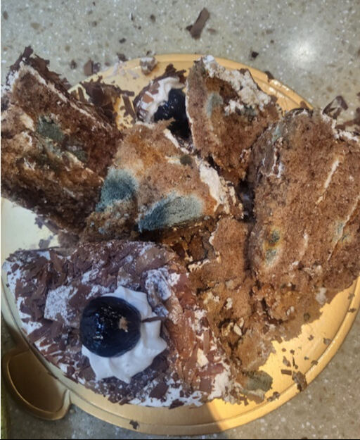 지난 6일 자영업자 커뮤니티 '아프니까 사장이다'에 올라온 곰팡이 케이크 사진. 아프니까 사장이다 캡처