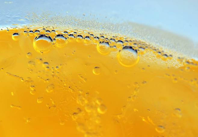 맥주는 실온에 보관할 때보다 시원한 온도에 보관했을 때 맛과 향이 더 진해진다./사진=클립아트코리아