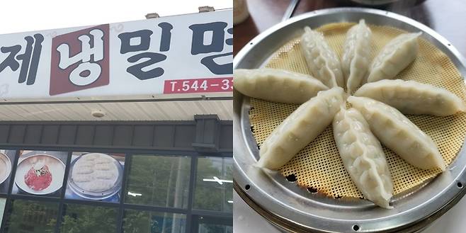 쫀득한 감자피 만두가 밀면의 맛을 배가시킨다. 이혜승씨·업체·블로거 조준투어 제공