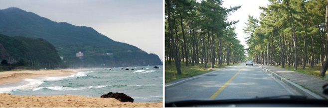 강릉 / 사진=flickr