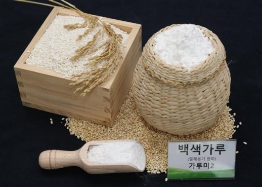 농촌진흥청이 개발한 가루쌀 품종 가루미.농촌진흥청 제공 - 가루쌀