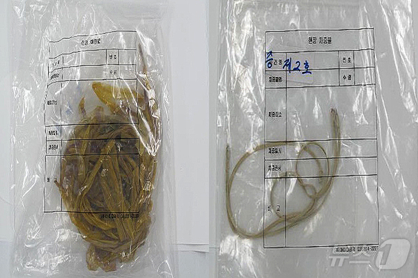 용의자가 범행에 사용한 포장용 테이프(왼쪽)와 전화선. (강원지방경찰청 제공)