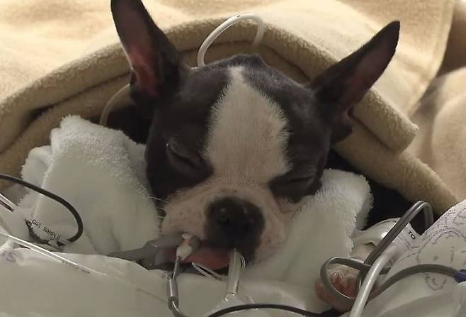 [사진=유튜브 화면캡처]