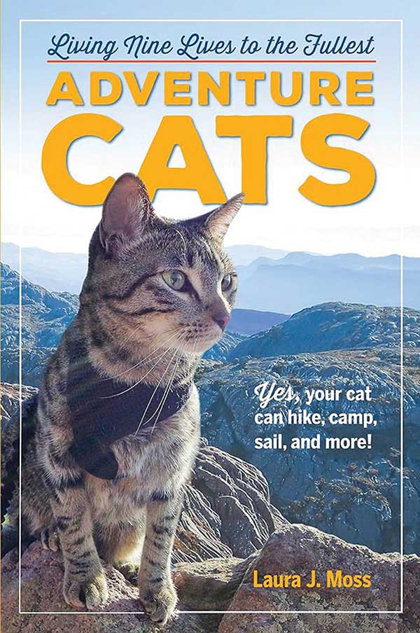 2017년 출간되어 선풍적인 인기를 끈 책 '모험하는 고양이'.