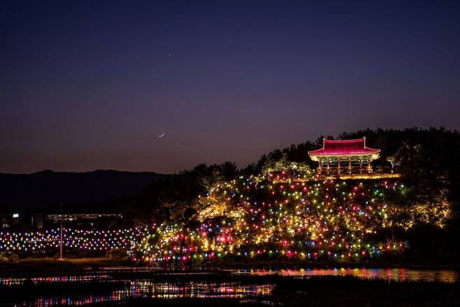 연등문화축제 행사 사진