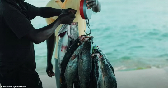 지구상에서 가장 인구 밀도가 높은 '미징고 섬'에선 주변 해역에 값비싼 나일 농어가 풍부해 수십년 간 케냐와 우간 사이의 분쟁의 원천이 돼 왔다. [Joe Hattab 유튜브 캡처]