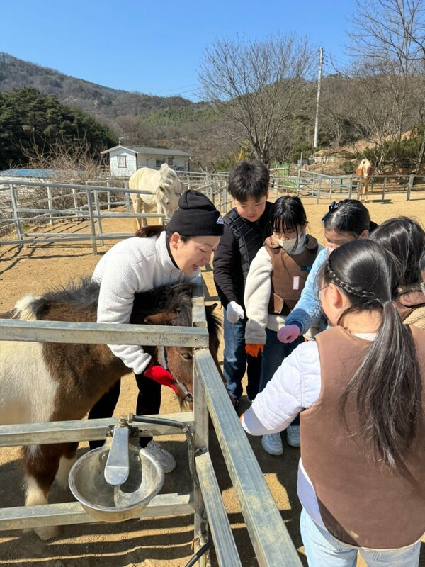 함양 마천초등학교 3~6학년 학생들이 승마 체험학습으로 말과 친해지기 활동을 하고 있다. /마천초교