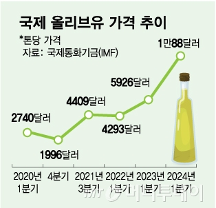 국제 올리브유 가격 추이/그래픽=김다나