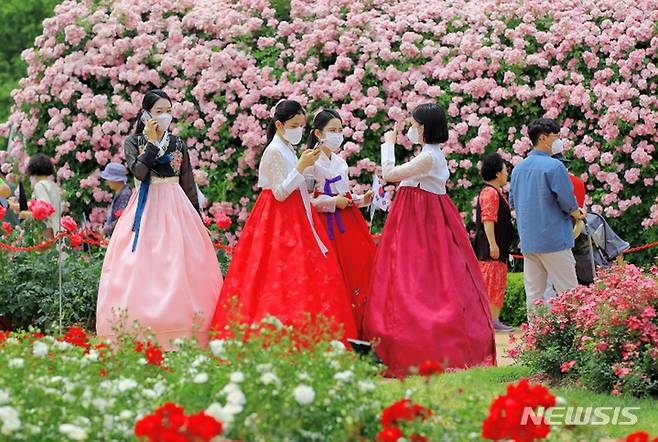 [곡성=뉴시스] 전남 곡성군은 5월 21일부터 6월 6일까지 17일간 펼쳐진 제12회 곡성세계장미축제에 28만1545명이 방문했다고 8일 밝혔다. (사진=곡성군청 제공). photo@newsis.com *재판매 및 DB 금지