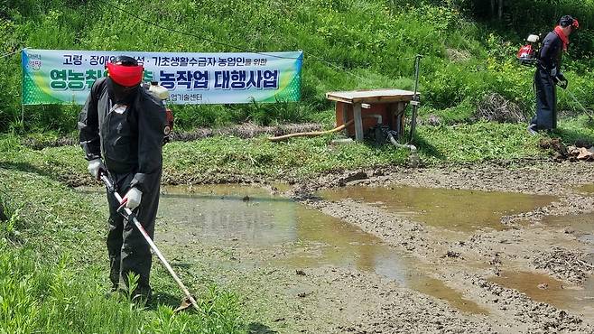 영농취약계층 대상 농작업 대행서비스 [양평군 제공. 재판매 및 DB 금지]