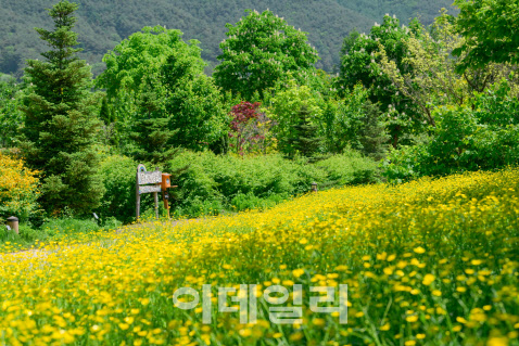 국립백두대간수목원의 무지개정원. (사진=한국수목원정원관리원 제공)