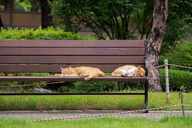 수직·수평이 잘 맞은 사진은 보기도 좋다