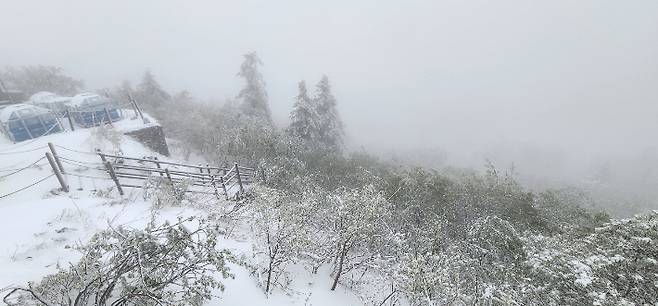 눈내린 설악산 소청대피소 모습. 설악산국립공원사무소 제공