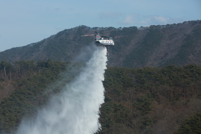 산림청이 올해 처음 도입한 임차헬기가 산불진화 작업을 벌이고 있다. 사진제공=산림청