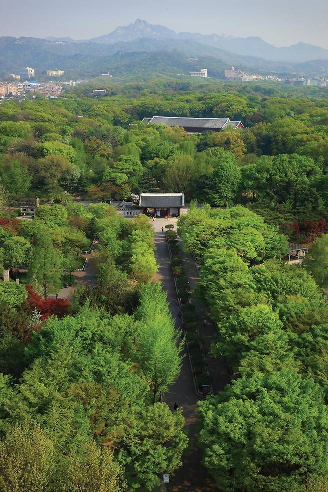 종묘 전경  [문화재청 국가유산포털 제공. 재판매 및 DB 금지]