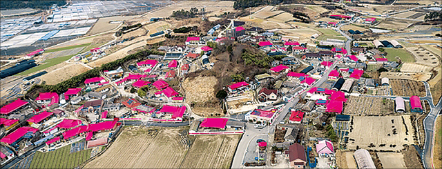 전남 신안의 한 마을. 신안군은 마을별 특색에 맞게 지붕색을 통일해 관광자원으로서 가치를 높였다. 신안군