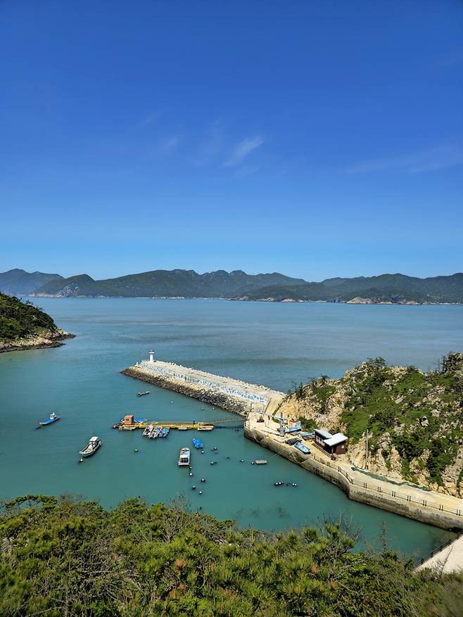 영산도 항구.