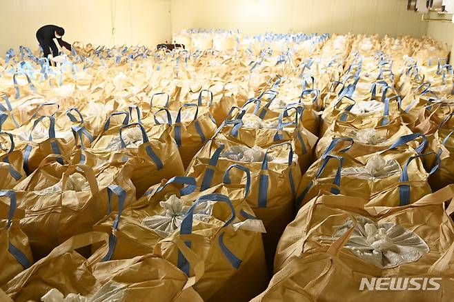 [용인=뉴시스] 김종택 기자 = 경기도 용인시 처인구 원삼면 용인시농협쌀조합공동사업법인 저온저장고에서 관계자가 가득 쌓여 있는 벼 포대를 살펴보고 있다.. 2023.04.04. jtk@newsis.com