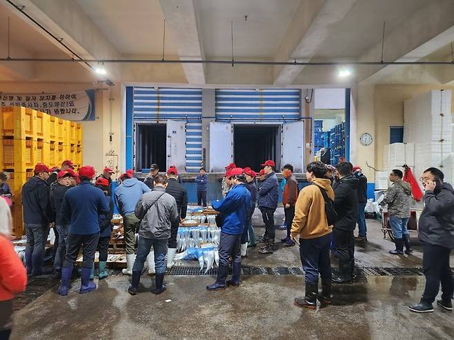 제주 성산포항에서 갈치 경매가 한창 진행되고 있다.