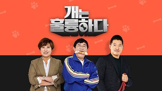 KBS '개는 훌륭하다' [KBS 제공. 재판매 및 DB 금지]