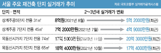 (그래픽=이미나 기자)