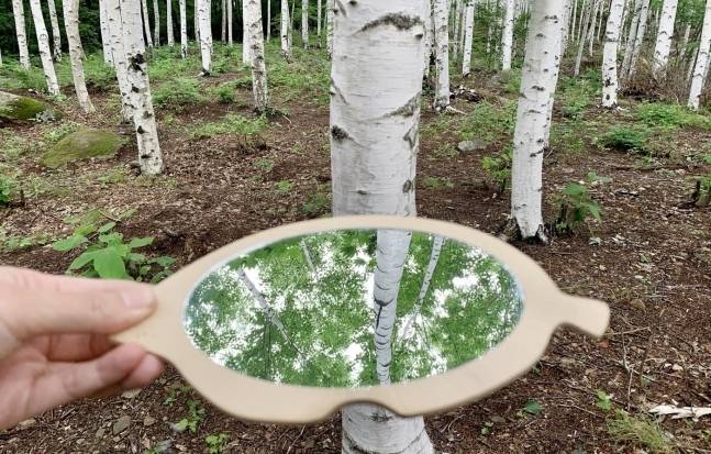 거울을 이용해 다양한 시각으로 바라본 자작나무숲ⓒ 뉴스1 윤슬빈 기자