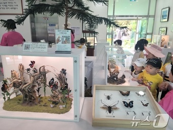 지난해 6월 열린 대청호자연생태관 세계 희귀 곤충 표본 특별전 모습.(대전 동구 제공)/뉴스1 ⓒ News1