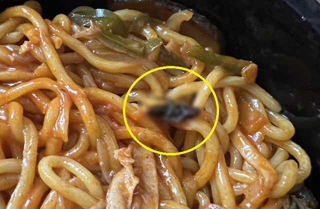 배달된 짬뽕에서 나온 바퀴벌레 사체. 온라인 커뮤니티 캡처
