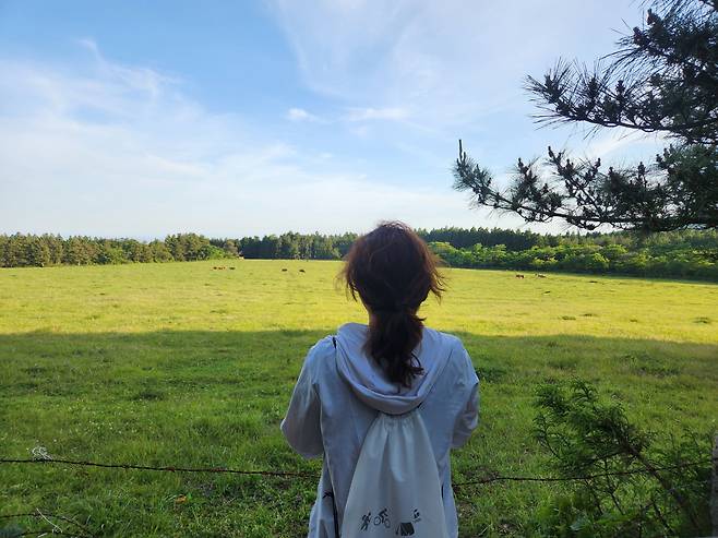 해비치리조트 제주의 무료 웰니스 프로그램 중 하나인 숲트레킹에 참여한 기자가 들판에서 풀을 뜯은 소들을 바라보고 있다. 숲트레킹 출발부터 리조트 도착까지 차량이 제공되고, 강사가 동행하는 프로그램이다. 김희량 기자