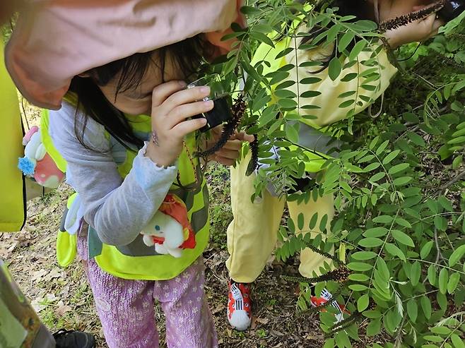 미사경정공원 숲 체험프로그램에 참가한 어린이가 식물을 관찰하고 있다.