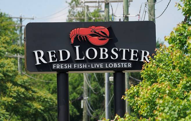 19일 파산 보호를 신청한 미국의 유명 해산물 레스토랑 체인 '레드 랍스터'(Red Lobster)의 간판. /로이터