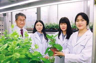 한국생명공학연구원의 권석윤(왼쪽부터)·신아영 박사, UST-KRIBB 스쿨의 이상희·고서린 박사과정생 [한국생명공학연구원 제공]