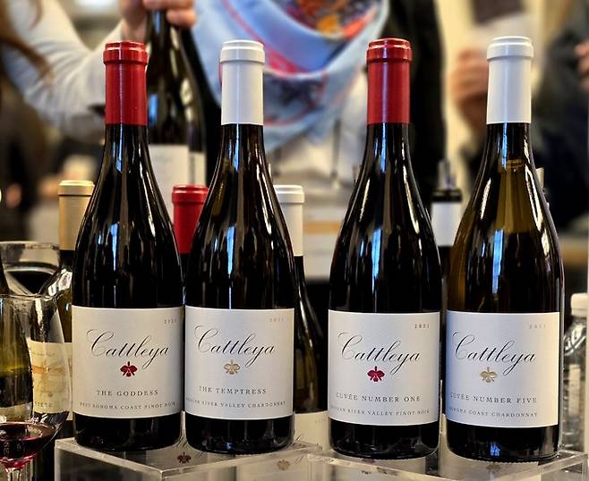 카틀레야 와인들. 최현태 기자
